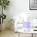 SimpleTaste 3L(0.79 Gal) Ultrasonic Humidifier Cool Mist Diffuser with 7 Colors LED Night Lights Whisper-Quiet, Purple