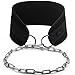 Yes4All Dipping Belt / Weight Belt with Chain for Powerlifting, Bodybuilding, Weighted Pull-Up & Dip – Eva Composite Padding & Support up to 551 lbs