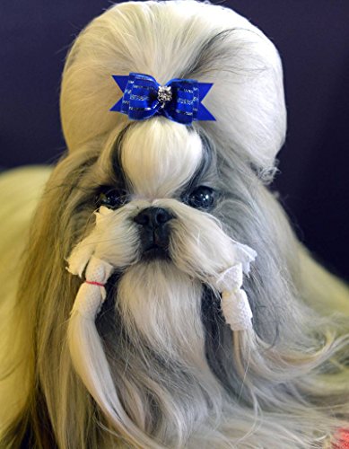 image for YOY 24PCS/12 Pairs Adorable Grosgrain Ribbon Pet Dog Hair Bows with Ru