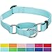 Blueberry Pet Essentials Martingale Safety Training Dog Collar, Mint Blue, Medium, Heavy Duty Nylon Adjustable Collars for Dogs