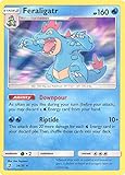 Feraligatr - 24/70 - Holo Rare - Dragon Majesty
