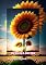 Livro EM BUSCA DO SOL