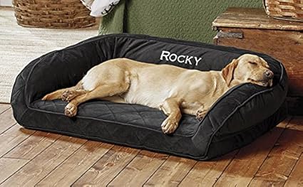 Amazon Com Orvis Memory Foam Bolster Dog Bed Large Dogs Up To 60