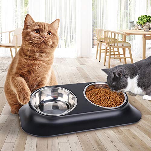 Ordermore Single and Double Dog Cat Bowls,15° Tilted Raised Cat Food
