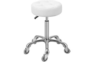 Kaleurrier Adjustable Rolling Stool for Salon: Heavy Duty Swivel Chair with Wheels for Hairdresser Esthetician Dentist - Spa Home Office Kitchen Dental Tattoo Shop Use - Seat Height 22”-30” - White