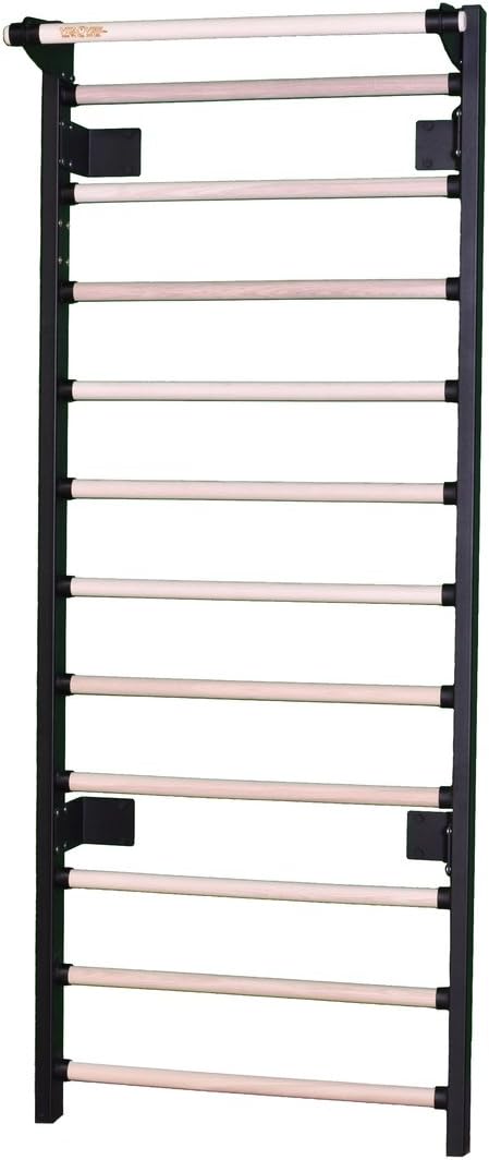 The 9 Best Sweedish Ladder