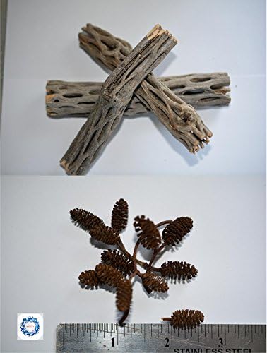 (2) Cholla Wood,(3) Almond Leaves,(10) Alder Cones (Freshwater Shrimp Tank)