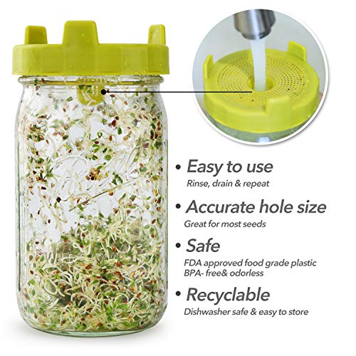 2 Soligt+Easy+Rinse+Drain+Sprouting