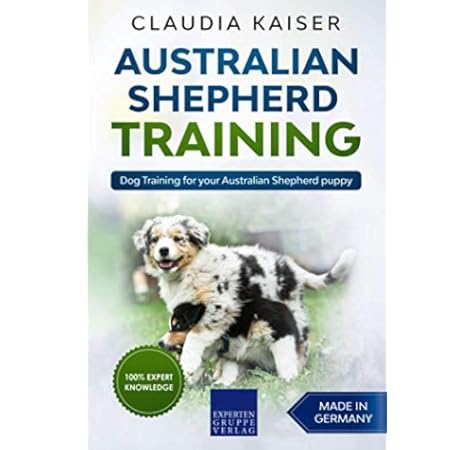 shepherd dog training