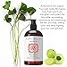 Laritelle Organic Shampoo 16 oz. Fortifying, Strengthening, Rejuvenating. Prevents Hair Shedding, Promotes New Hair Growth. Ayurvedic Herbs, Lavender, Ginger, Rosemary, Patchouli and Cloves. Vegan. GF