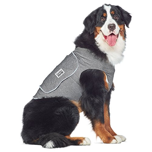 Best anti anxiety coat for dogs Sideror Reviews