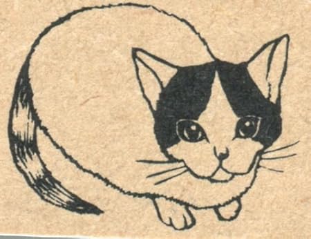 すたんぷえん 津久井智子 オリジナル スタンプ うめゆずスタンプ うめ So0504 002 おもちゃ おもちゃ Amazon