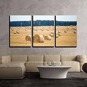 3 Piece Canvas Wall Art - Hay Bales on The Field After Harvest - Modern Home Art Stretched and Framed Ready to Hang - 16"x24"x3 Panels