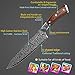 FineTool Kitchen Knife, 8 inch Professional Chef's Knives Japanese 7Cr17 Stainless Steel Vegetable Cleaver with pakkawood Wood, Sharpest Cooking Knives Best Choice for Home Kitchen and Restaurant