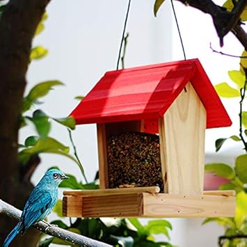 Amazon Com Bird Feeder Bird Feeder Outdoor Bird Guide