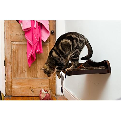 Art Of Paws Cat Window Perch Curved Wood Wall Mounted Cat Shelf A Sleek And Elegant Cat Bed Your Cat Will Love Immediately Delicate Nobleplanet Org