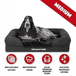 The Dog’s Bed Orthopedic Dog Bed Medium Black