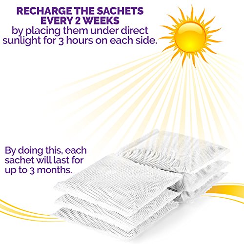 image for Purple Safety 12 Deodorizers for Diaper Genie - Odor Eliminator Deodor