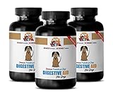 PETS HEALTH SOLUTION digestive aid for pets