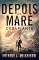 Livro Depois da Maré: Desafiante