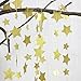 Koker Sparkling Star Garland, Paper Hanging String Banner Decoration for Wedding, Birthday Party Baby Shower Backdrop, Glitter Gold, 11.5 Feet/3.5 m