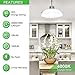 AWEHIRU A19 LED Light Bulbs, 100-125W Equivalent LED Bulbs, 1500 Lumens, 4000K Daylight White Edison Bulbs, E26 Medium Screw Base, No Flicker, CRI 80+, 25000+ Hours Lifespan, Non Dimmable, 12-Pack