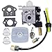 HUZTL Carburetor with Fuel Maintenance Kit Spark Plug for ECHO GT200 GT201i HC150 HC151 PE200 PE201 PPF210 PPF211 SRM210 SRM211 Trimmer / Brushcutter