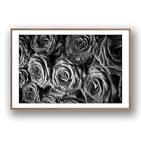 Framed for Living Room Bedroom Grey Rose Flowers for