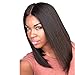 Long Natural Straight Women Wigs Synthetic Wig(light brown)