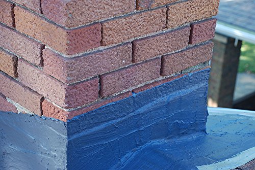 5 CHIMNEYRX+BHBUKPPAZINH2401+Chimney+Elastomeric+Gallon