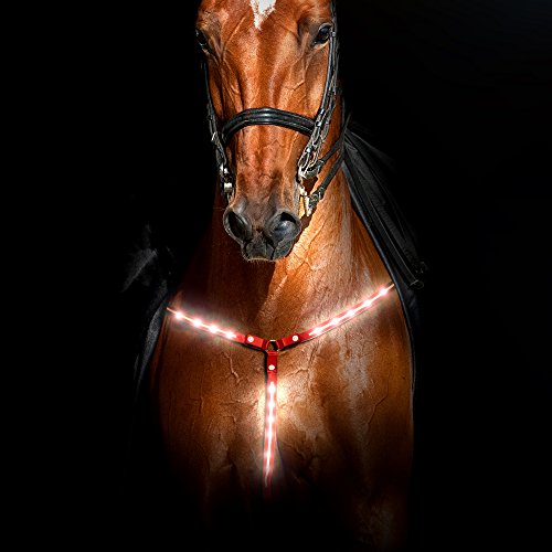 Rural365 Reflective Horse Tack LED Horse Breastplate Collar in Red – LED Horse Tack Breast Collar for Horses