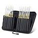 Tdbest Miniature Paintbrushes, Handmade Detail Paint Brush Set with Carry Box for Acrylic, Oil, Watercolor, Gouache,Tempera, Enamel, Nail and Body Painting (15 Pieces)