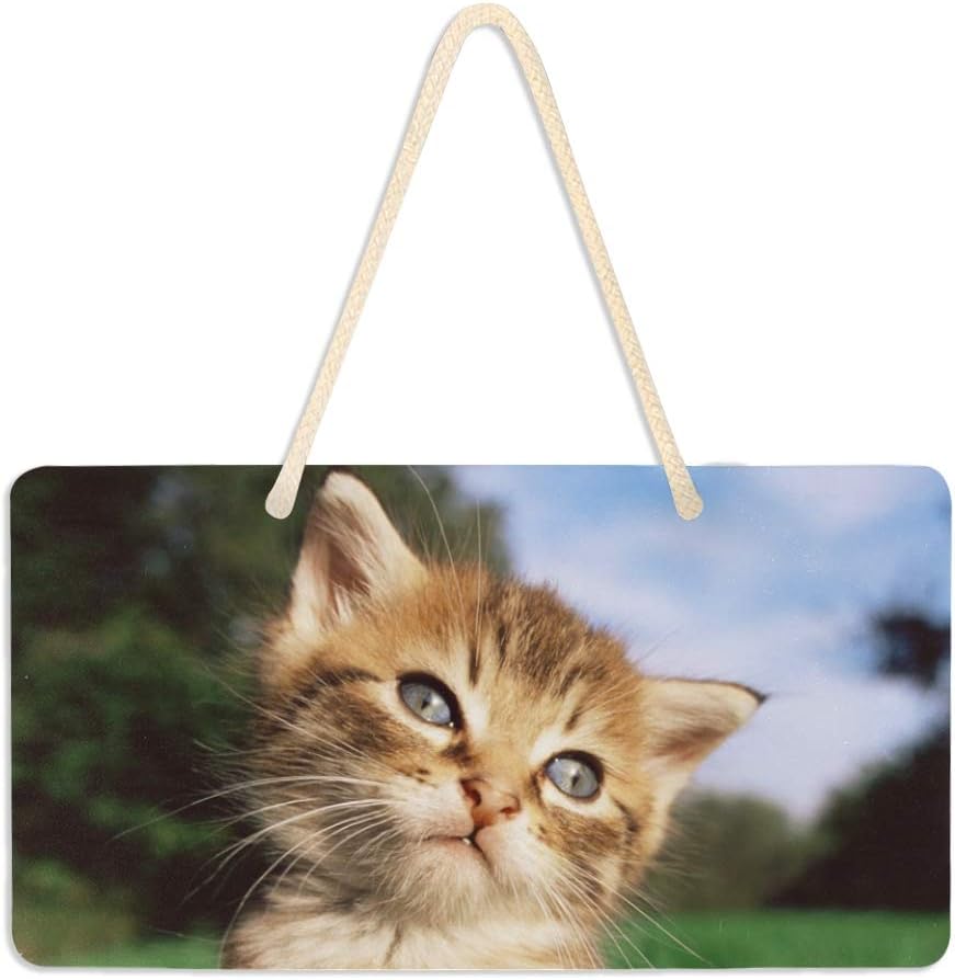 ZZAEO Cute Cat Kitten Door Sign PVC Front Door Plaque