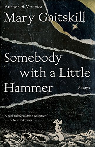 Somebody with a Little Hammer: Essays (Best Of Linda Lovelace)