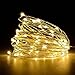 WisHome Waterproof Decorative 100 LEDs 33ft USB Powered Copper Wire Starry Fairy String Lights Led Rope Lights for Bedroom Patio Garden Christmas Outdoor Party Wedding Lamping Warm White