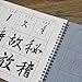 Wancetang Reusable Chinese Water Writing Cloth Paper Practice Calligraphy Character Book for Beginner(Wang Xi Zhi)