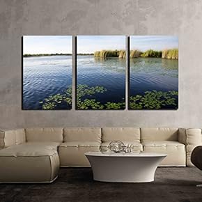 Landscape of Water and Grass in The Okavango...