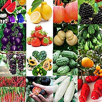 20pcs / Blanco del Bolso de Pepino Semillas: Lotes Antioxidante ...