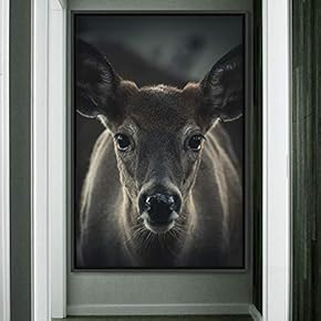 signwin Framed Canvas Wall Art Deer Animals Deer...