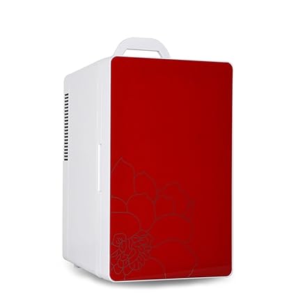 Amazon.es: FL- 16L 12V DC 220V AC Refrigerador a bordo ...