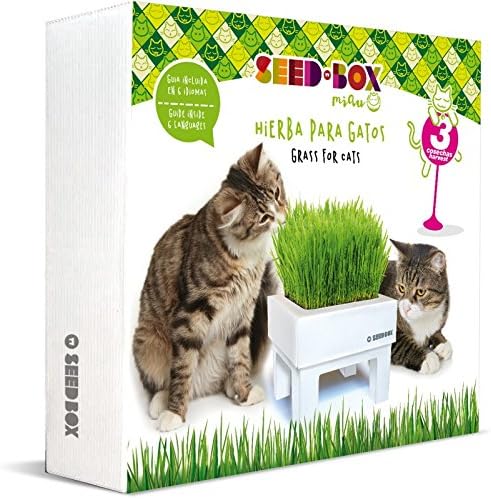 SeedBox MIAU Cat Grass Growing Kit