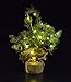 Radiance Starry String Lights, 7 ft, Copper Wire, Warm White, Battery Powered
