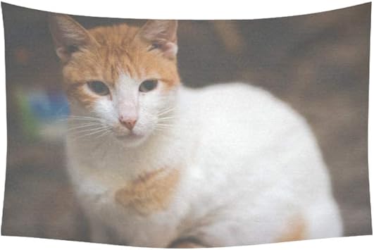Tapisserie Exterieure Mignon Bouleverse Triste Malheureux Chat Beaute Corps Animal Ferme Tenture Murale Psychedelique Indien Accrochez Mur Art Dortoir Decor Pour Salon Chambre 60 40 Pouces 152 Cm Amazon Fr Cuisine Maison