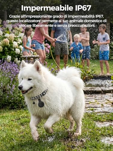Collare GPS Gatto, GPS per Cani, Localizzatori GPS per Cani e Gatto Compatibile con iOS e Android, Nessun Abbonamento, Cronologia Percorsi 7 Giorni, Tracciamento in Tempo Reale, per Gatti, C-ani, ecc.
