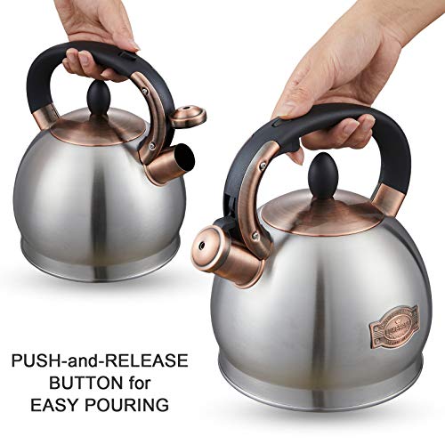 Tea Kettle 2.8 Quart Tea Kettles Stovetop Whistling Teapot Stainless
