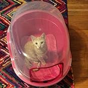 petphabet jumbo litter box