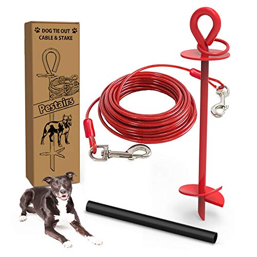 large dog yard stake