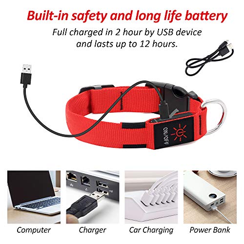 BSEEN Light Up Dog Collars - USB Rechargeable Glowing LED Puppy Collar, Light Up Collars for Nighttime Dog Walking (Small, Ruby Red)
