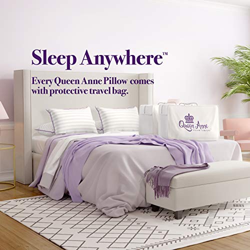 Queen Anne Luxury 100 Down Pillow European White Goose and Duck Down