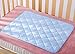 TTBOO Waterproof Resuable Baby Changing Pad Liners,Medium Blue (50*70 cm/19.6
